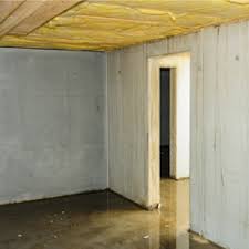 Avoid the stress of doing it yourself. How To Remove Mold In Basements Crawlspaces Concrobium