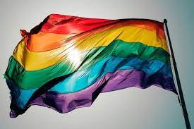 Rainbow flag is widely recognized symbol of the lgbt community and is seen at pride events all around the world. 30 Different Pride Flags And Their Meaning Lgbtq Flags Names