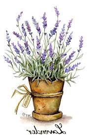 40578224 720 Jpg 467 720 Flower Art Flower Painting Watercolor Flowers