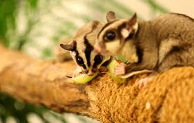 Free Entry To The The Green Planet For Kids In School Uniform Spot Uae