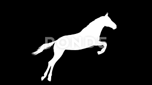 Affordable and search from millions of royalty free images, photos and vectors. White Horse Jumping Silhouette Loop New Stock Video Pond5