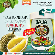 May 25, 2020 · 2 jenis baja yang sesuai untuk pokok durian membesar dan berbuah lebat. Baja Durian Musang King D24 Duri Hitam Durian Kampung 13 Dalam 1 Ready Stock Shopee Malaysia
