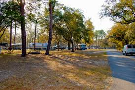 Chiefland the manatee springs state park has just about every outdoor recreation activity you can think of. Ocala National Forest Salt Springs Campground