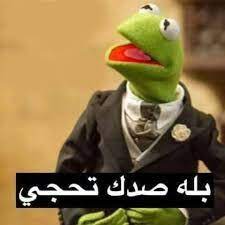 Maybe you would like to learn more about one of these? Ø£ÙØ¶Ù„ ØµÙˆØ± Ø¶ÙØ§Ø¯Ø¹ Ù…Ø­Ø´Ø´Ù‡ Ù…Ø­Ø´Ø´ÙŠÙ† Ø¹Ø§Ù„Ø£Ø®Ø± Amino