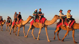 4 full days camel trekking in the sahara. Sinai Desert Camel Riding Experience In Egypt With Bedouin Dinner From 75 Awe365