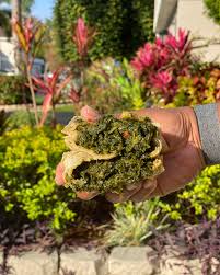 𝐖𝐡𝐢𝐜𝐡 🍚 𝐭𝐞𝐚𝐦 𝐲𝐮𝐡 𝐨𝐧? ⠀ VOTE: Rice & Peas or Yellow Rice  SWIPE 👉🏽 ⠀ #GoldenKrust #SavorTheFlavors #CookedFromScratch  #MadeFreshDaily