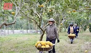 Vận chuyển nông sản từ Việt Nam đi Campuchia