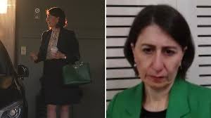 Google AI: Can Google AI save Australia's giant kelp forests?