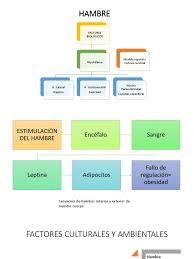 Se puede utilizar el término para hablar de los individuos como cada organismo que habita el sistema, en forma global. Hambre Factores Biologicos