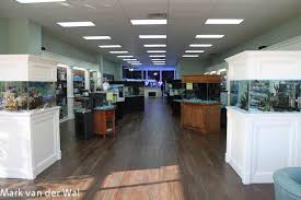 North carolina's top aquarium store featuring the best selection of freshwater and saltwater fish, live coral, aquatic plants, and supplies! The Decline Of The Local Fish Store And Some Possible Ways To Save Them Reef Builders The Reef And Saltwater Aquarium Blog