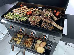 Blackstone Introduces A New Griddle Air Fryer Combo Pitmaster Club