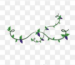 ورق عنب جميل خمر ورق عنب رسم png والمتجهات للتحميل مجانا grape leaves grapes design