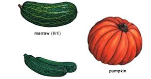 Pumpkin Definition And Pronunciation Oxford Advanced Learner S Dictionary At Oxfordlearnersdictionaries Com