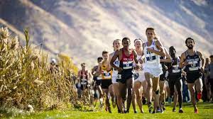 Sometimes the runners are referred to as harriers. Cross Country Glossary Get To Know The Basic And Advanced Terms Ncaa Com