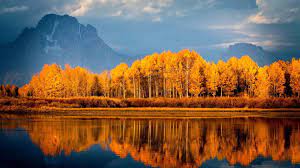 1920x1080 Autumn Desktop Background Wallpaper Hd Desktop Wallpaper Fall Desktop Wallpapers Backgrounds Tree Mountain Wallpaper