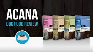 With our reviews of these top rated dry dog foods, we'll tell you exactly why these are the cream of the crop. Acana Dog Food Reviews 2021 Complete Guide Woof Whiskers