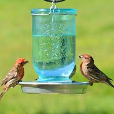 Abreuvoir D Oiseaux Style Bocal De Conserve Mason De Perky Pet Walmart Canada