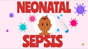 Image result for Neonatal Sepsis