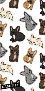 100 Dog Phone Wallpapers Ideas Dog Phone Dog Lovers Dog Wallpaper Silver surfer wallpaper hd 59. 100 dog phone wallpapers ideas dog
