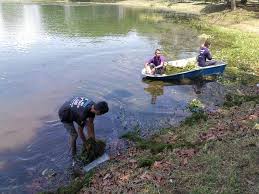 Pejabat tanah besut menyediakan perkhidmatan kaunter pandu lalu bagi pembayaran cukai tanah. Rm10 000 Milik Siapa Ahad Ini Di Tasik Ydp Slim River Perak Hubmedia