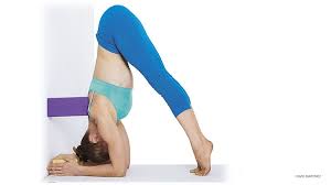 How To Use Props And Modify For Dolphin Pose Dolphin Pose Dolphin Pose Yoga Yoga Poses