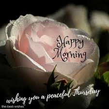 Check spelling or type a new query. 111 Good Morning Thursday Greetings Images And Wishes