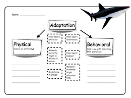 Animal classification for kids worksheets. Adaptation Physical And Behavioral Elementary Science Adaptations Science Science Lesson Plans Middle School Science Lessons