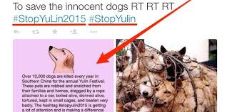 Check spelling or type a new query. Dogs Were Saved Thanks To Twitter At The Yulin Festival
