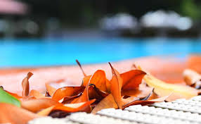 Comment Mettre Votre Piscine En Hivernage