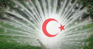 Turk Olmak En Buyuk Seref Ve Sandir Dualar Doga