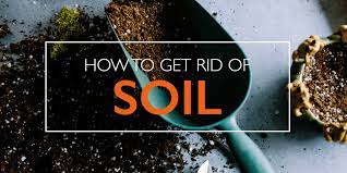 Maybe you would like to learn more about one of these? How To Get Rid Of Soil Hippo