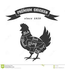 Chicken Meat Cuts Diagram Stock Vector Illustration Of