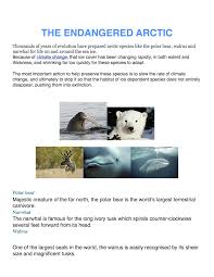 3 Of 6 Arctic Circle Animals Arctic Circle Girl Scout Juniors Endangered Animals