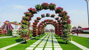 Dubai Miracle Garden World S Largest Natural Flower Garden Miracle Garden Big Garden Most Beautiful Gardens