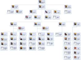 City Of Oakland Opd High Level Org Chart