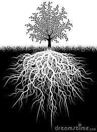 Tree Roots By Robert Adrian Hillman Via Dreamstime Tree Roots Oak Tree Tattoo Tree Drawing