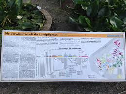 Botanischer Garten Leipzig Vom Duften Tasten Und Blauen Morphofalter