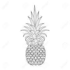 Have fun coloring the fruits you love the most. Hand Drawn Ornate Pineapple Tribal Exotic Fruit For Adult Anti Royalty Free Cliparts Vectors And Stock Illustration Image 57841262
