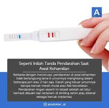 Jadi pastikan bahwa bayi di dalam kandungan mendapatkan nutrisi yang tepat. Ketika Proses Pembuahan Berhasil Divaru Terapi Hormone Facebook