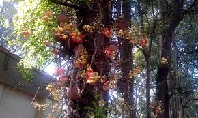 Fun & Info @ Keralites.net