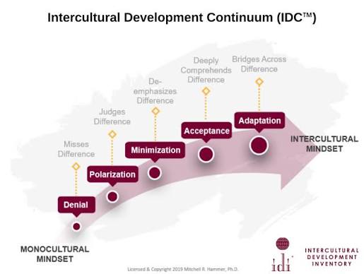 What is the IDI? — Sarah Rimmel