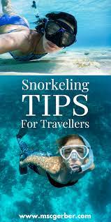 A Travellers Guide How To Snorkeling Mscgerber Wildlife Travel Adventure Travel Amazing Travel Destinations