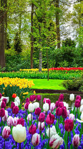 We have a massive amount of desktop and mobile backgrounds. Flower Garden Mobile Pic Wallpapers Share