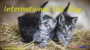 International cat day is celebrated to help raise public awareness about cats, to learn published on aug 08, 2021 11:09 am ist. International Cat Day 2021