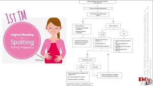 Light bleeding, or spotting, during pregnancy is common, especially during the first trimester. Pregnant Vaginal Bleeding 1st Tm Youtube