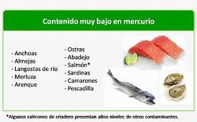 Durante El Embarazo Que Tipo De Pescado Se Puede Puedo Comer Durante La Lactancia Free Transparent Png Download Pngkey
