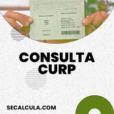 La curp también llamada clave única de registro de población, es un documento que se asigna a todas las personas que viven en el territorio mexicano, pero que también se extiende a todos los mexicanos que se encuentran viviendo. Consulta Curp Gratis De Mexico Solo Con Tus Datos Personales Online
