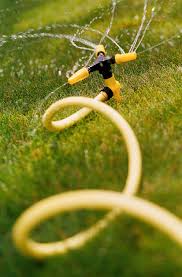 The grass may become yellowed, a condition called chlorosis, or it may appear striped with colorless areas. Lawn Care Basics For Beginners Better Homes Gardens