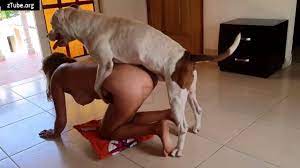 alison zoo porno angel threesome dog slut zootube videos