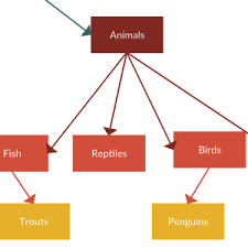 Dichotomous Key Maker Dichotomous Key Examples Creately